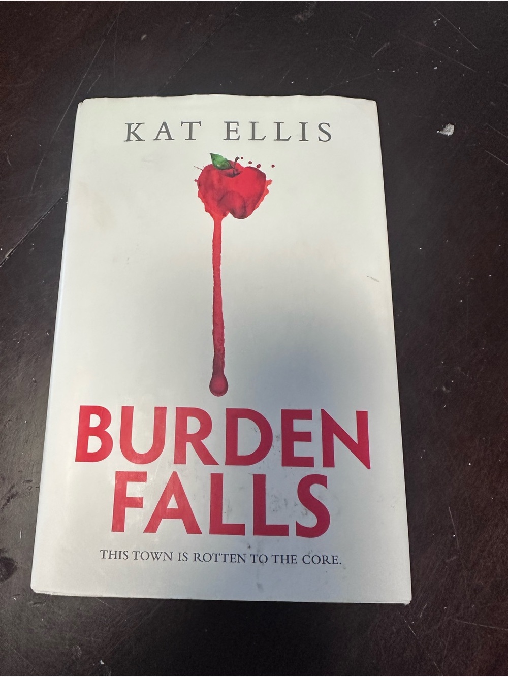 Burden Falls by Kat Ellis